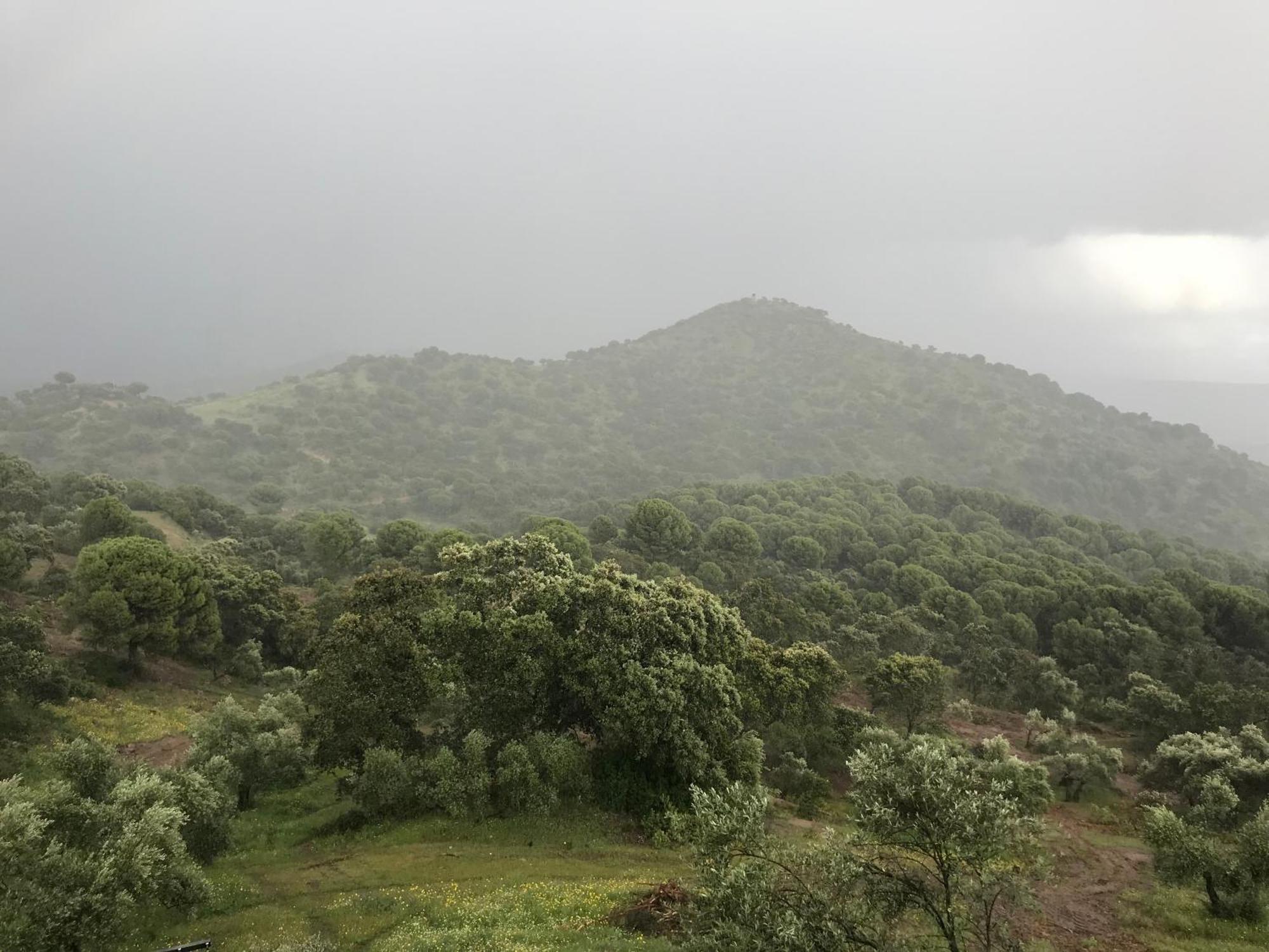 Casarural Sierramorena Dos Encinas Andújar Exteriér fotografie