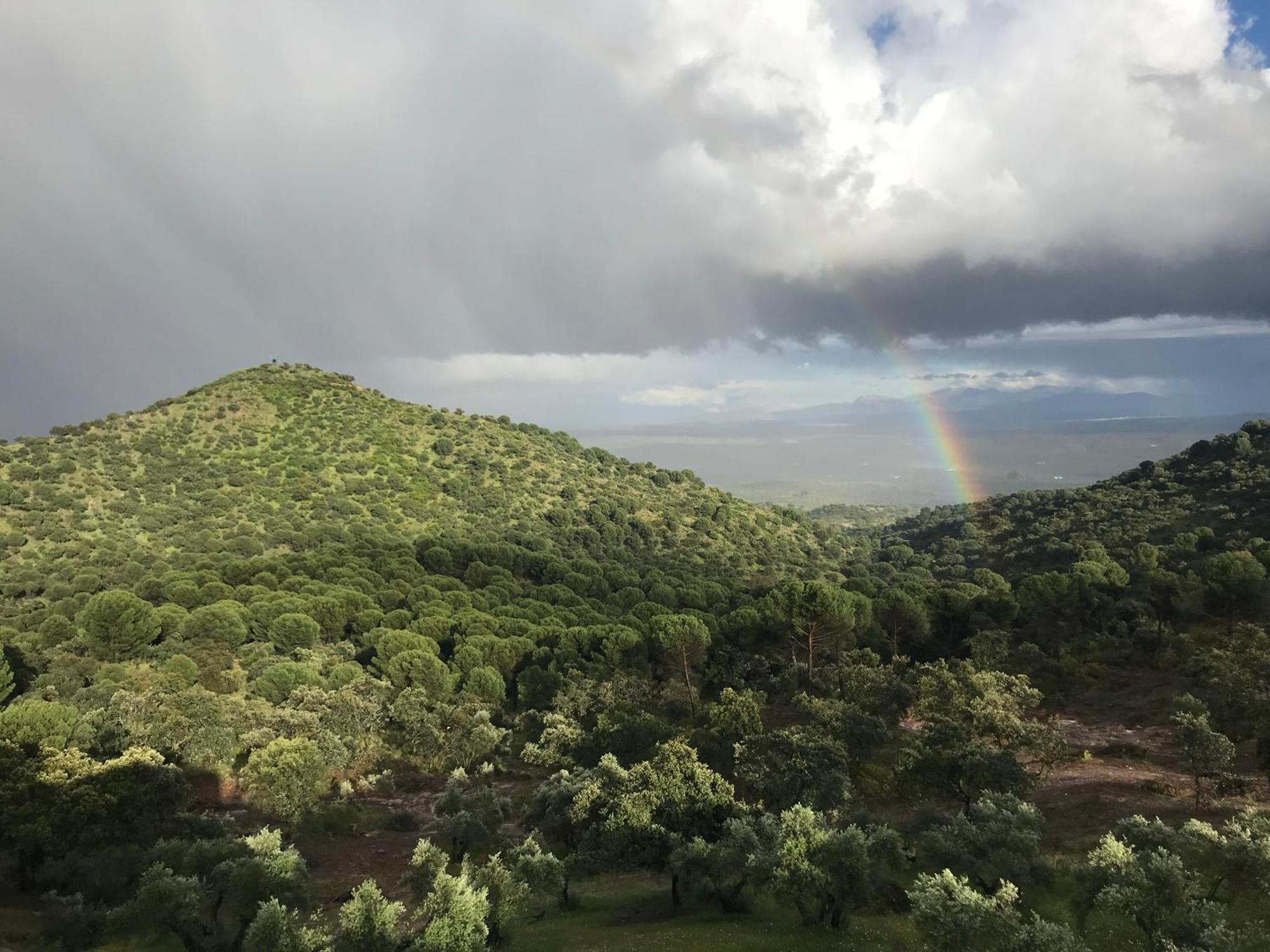 Casarural Sierramorena Dos Encinas Andújar Exteriér fotografie